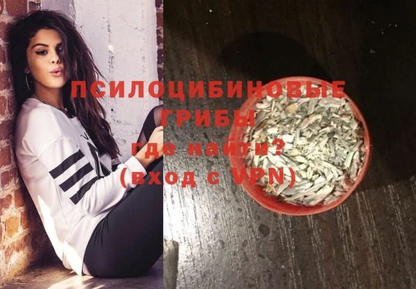 ПСИЛОЦИБИНОВЫЕ ГРИБЫ Балабаново