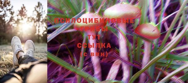 не бодяженный Аркадак
