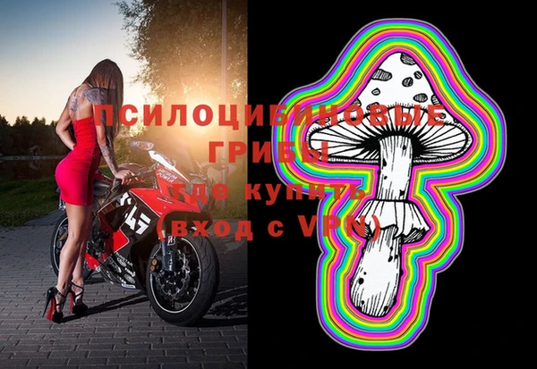 ПСИЛОЦИБИНОВЫЕ ГРИБЫ Балабаново