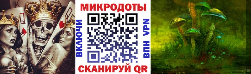 площадка какой сайт  Печоры  Галлюциногенные грибы Psilocybe 